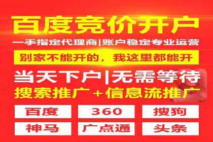 SEM托管优化案例：打造精准广告投放策略